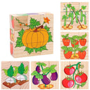 Wooden Blocks Puzzle Game: Animal, Fruit, Traffic Theme Learning Toy  ourlum.com Vegetable  