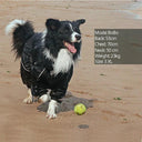 Waterproof Dog Winter Coat with Reflective Raincoat: Keep Your Pet Warm & Stylish  ourlum.com   