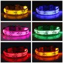 LED Dog Collar: Glow-in-the-dark Nylon Safety Pet Collar  ourlum.com   