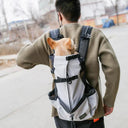 Outdoor Dog Backpack: Breathable Carrier for Medium Dogs