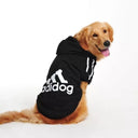 Winter Dog Adidog Sport Hoodies: Stylish Warm Clothing for Pets  ourlum Black S(1-2KG dogs) 