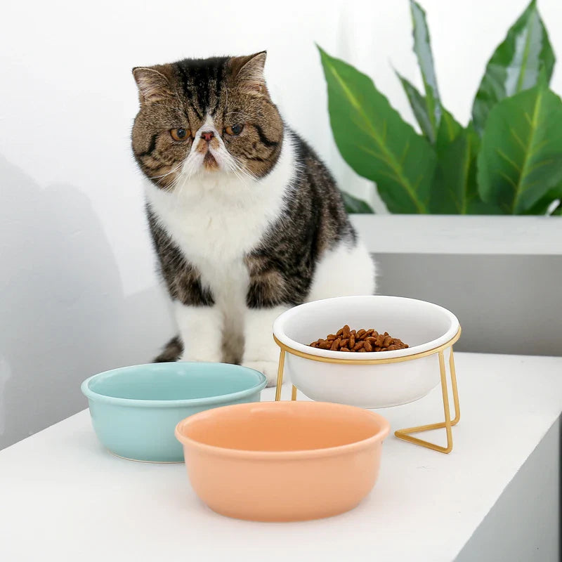 Ceramic Cat Bowl with Raised Stand: Stylish Feeder for Pets with Adjustable Height  ourlum.com   