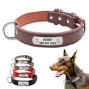 Personalized Leather Dog Collar with ID for Small to Large Pets  ourlum.com   