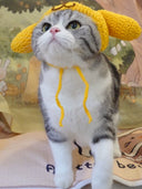 Sanliou Pom Pom Purin Pet Disguise Cap Handmade Cat Headdress