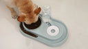 Automatic Water Dispenser Feeding Teddy Mouth Wet-Proof Cat