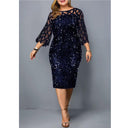 Shimmering Sequin Mesh Plus Size Party Dress Glamour Elegance