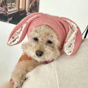 Pet Hat Autumn and Winter Warm Knitted Hat Cute Rabbit Ears