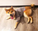 TB Dog Clothes Pet Sweater Autumn Winter Cardigan for Small Dogs