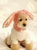 Pet Hat Autumn and Winter Warm Knitted Hat Cute Rabbit Ears