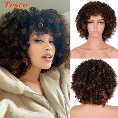 Hair Wig: Stylish African Afro Fashion Statement