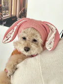 Pet Hat Autumn and Winter Warm Knitted Hat Cute Rabbit Ears