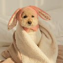 Pet Hat Autumn and Winter Warm Knitted Hat Cute Rabbit Ears