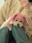 Pet Hat Autumn and Winter Warm Knitted Hat Cute Rabbit Ears