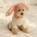 Pet Hat Autumn and Winter Warm Knitted Hat Cute Rabbit Ears