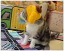 Sanliou Pom Pom Purin Pet Disguise Cap Handmade Cat Headdress