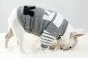 Pet Trendy Dog Clothes Winter Velvet Padded Sweater Big Brother