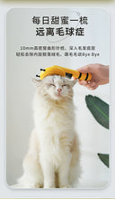 Cat Comb Little Bee Float Hair Cleaning Pumpkin Gadget