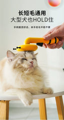 Cat Comb Little Bee Float Hair Cleaning Pumpkin Gadget