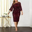 Shimmering Sequin Mesh Plus Size Party Dress Glamour Elegance