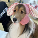 Pet Hat Autumn and Winter Warm Knitted Hat Cute Rabbit Ears