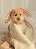 Pet Hat Autumn and Winter Warm Knitted Hat Cute Rabbit Ears