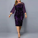 Shimmering Sequin Mesh Plus Size Party Dress Glamour Elegance