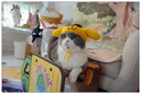 Sanliou Pom Pom Purin Pet Disguise Cap Handmade Cat Headdress