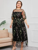 Mesh Embroidered Lace Dress Elegant Summer Statement Piece