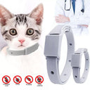 Flea Tick Collar: 8-Month Protection for Small Pets - Antiparasitic, Adjustable, Breakaway  ourlum.com   