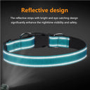 Reflective Neoprene Padded Dog Collar: Stylish Safety for Medium to Large Pets  ourlum.com   