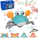 Crawling Crab Octopus Toy: Interactive Musical Educational Toddler Gift  ourlum.com   