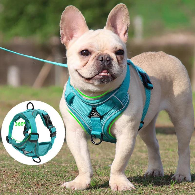 French Bulldog Reflective Mesh Dog Harness with Leash: Ultimate Safety and Comfort  ourlum.com   