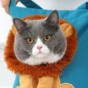 Soft Lion Design Pet Carrier Bag for Travel with Safety Zippers