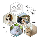 Personalized Stainless Steel Pet Tags: Customizable, High-Quality, Anti-lost, Unique Design  ourlum.com   