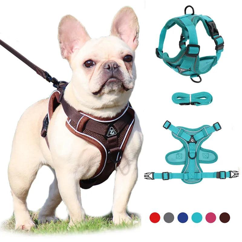 French Bulldog Reflective Mesh Dog Harness with Leash: Ultimate Safety and Comfort  ourlum.com   