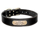 Personalized Leather Dog Collar Set with Free Engraving  ourlum.com Black Collar XS 