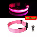 LED Dog Collar Light: High Visibility Anti-lost Night Safety Pet Accessory  ourlum.com Pink USB charging XS 