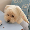 Cute Rabbit Ears Pet Knitted Hat for Autumn Winter Warm