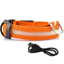 Illuminated Dog Collars: Enhanced Pet Safety & Visibility Solution  ourlum.com Orange usb charging XS neck 28-40cm 