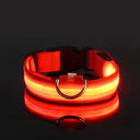 Glowing Nylon LED Dog Leash and Collar Set for Night Safety  ourlum.com Red XS 