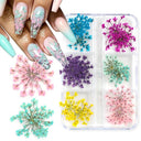 12/18Pcs/box 3D Dried Flowers Nail Art Decorations Dry Floral Bloom Stickers DIY Manicure Charms Designs For Nails Accessories  ourlum.com   