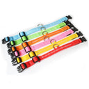 LED Dog Collar Light: High Visibility Anti-lost Night Safety Pet Accessory  ourlum.com   