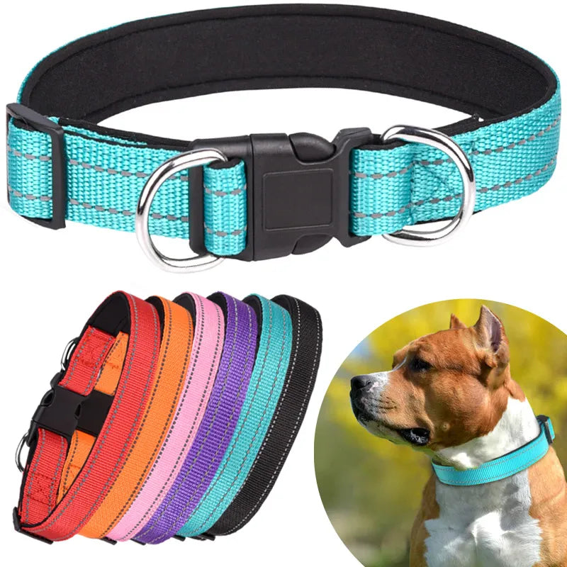 Reflective Neoprene Padded Dog Collar: Stylish Safety for Medium to Large Pets  ourlum.com   