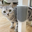 Cat Self Groomer with Catnip Soft Cats Massage Comb Brush  ourlum.com   