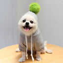 Cute Fruit Dog Hoodies: Warm Fleece Clothing for Small Dogs  ourlum.com 2 Grey XS 