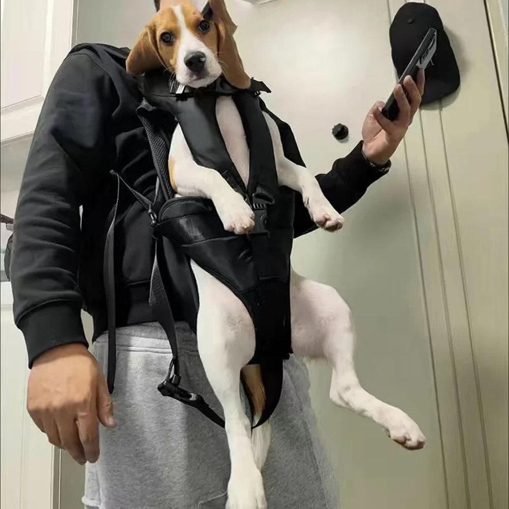 Dog Carrier Backpack: Stylish & Safe Travel Companion for Small Medium Pets  ourlum.com   