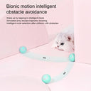 Interactive Cat Toy Ball 360 Automatic Rotating USB Charging