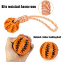 Dog Treat Balls Interactive Rope Rubber Toys for Small Dogs