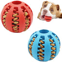 Dog Chew Toy Set: Rubber Teeth Cleaning Ball For Pets