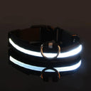 Glowing Nylon LED Dog Leash and Collar Set for Night Safety  ourlum.com black XS 